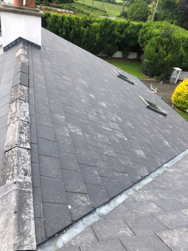 Brighton Roof After Cleaning
